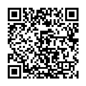 而且没有黑大和黑二在一旁摆出那副高高在上的样子二维码生成