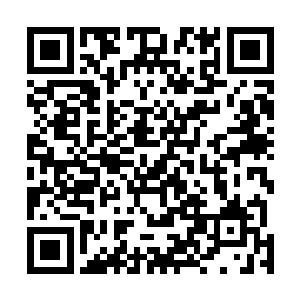 而且燕山魂非常可能是小罗天的下一个达到大乘期的修士二维码生成