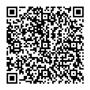 而且父皇还将身边的人都打发走了……李熙不由自主的便想起当日他为了跟永昌帝说玉玺之事时二维码生成