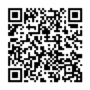 而且王妃设下的这个锁困阵其巧妙之处他都难看懂二维码生成