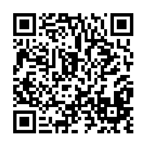 而且现在让小龙跟着娑娜去待一段时间也不是什么坏事二维码生成