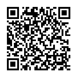 而且现在还有蓝鳍和大眼金枪鱼光是这一趟就够让人眼红的了二维码生成