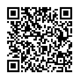 而且用来培养灵兽更是有着让人难以想象的妙用二维码生成