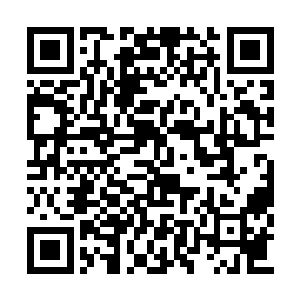 而且田林居然有能杀死他们名家护卫队的实力了二维码生成