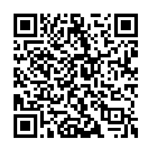 而且由于布洛林冷静的选择了让断翼面朝着海岸二维码生成