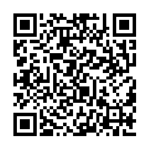 而且由于没有共同的生活环境和共同的官场感受二维码生成