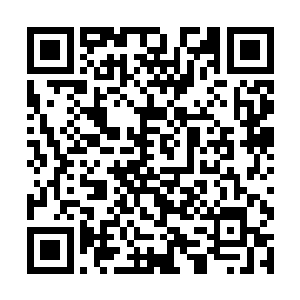 而且目前许紫烟空间之内的各种灵果可都是阳属性的二维码生成