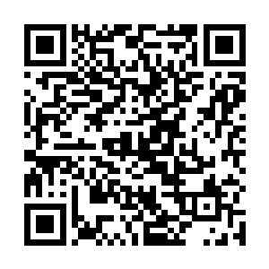 而且看样子这小女孩的身份在天机阁之中十分的不一般二维码生成