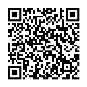 而且看起来他们这些人虽然风尘仆仆的有些狼狈二维码生成