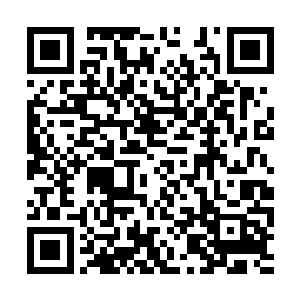 而且看起来好像丝毫没有受到自己师傅的威压影响二维码生成