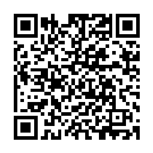 而且看这些姐姐的意思也是主动凑合自家姐姐和金在珉的关系二维码生成