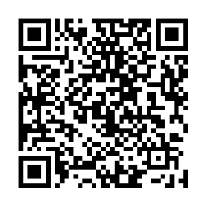 而且看雷欢喜的样子也没有带自己在仙桃村参观参观的意思二维码生成