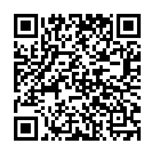 而且碧蓝海神是单纯的吞噬后衍生出大概的仙家模样二维码生成
