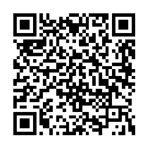 而且祭司大人特别交代明天要召集全部落树典型二维码生成