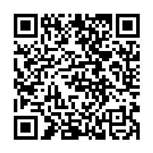 而且第二个打着战斗机飞走的萧霓裳也和他关系匪浅二维码生成