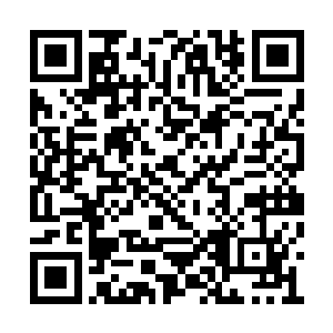 而且罗楼的实力……也不比这位波塞冬的信徒差二维码生成