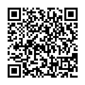 而且老朽相信杨小友肯定不会做什么有损我龙族的事情二维码生成