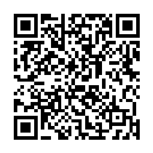而且胖子最后的一张以血画出的掌心雷更是让他大卫意动二维码生成