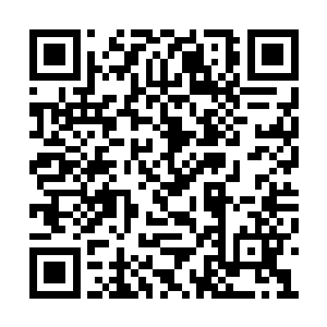 而且能够吸收外界的能量提供给封兽球内的妖兽二维码生成
