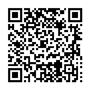 而且能成为上城神殿战士对您的城国或部落也会有莫大好处二维码生成