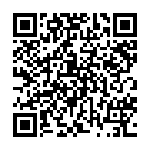 而且自己最不爽的就是有人怀疑自己捉到的雪狐是假的了二维码生成