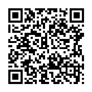 而且花花已经让人去国师去把朵朵和幽冥接过来了二维码生成