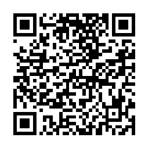 而且苏落还把兑换大厅里买来的生活用品放在了库里二维码生成