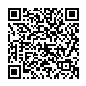 而且若是大哥哥在混乱之域大哥哥遇到了什么麻烦的话二维码生成