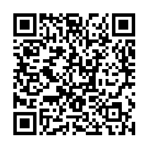 而且若是执意的话自己能不能活着回去还是一件事呢二维码生成