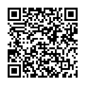 而且菩提之力也将如来神掌的效果给增加了无数倍二维码生成