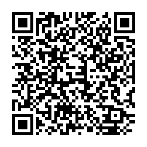 而且虫仙子的转化也有只对高等和超等种族幼崽有效的高逼格限制二维码生成