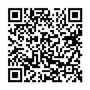 而且要命的是越猴那边国界碑附近是茂密的丛林二维码生成