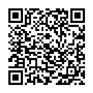 而且要是你胜了我的话我再另外给你两坛美酒怎么样二维码生成