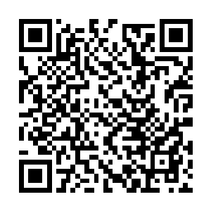 而且许下了资助他们成为家族族长或者宗主的承诺二维码生成