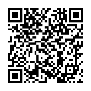 而且许紫烟已经看到他们都已经补足了所缺属性的灵根二维码生成