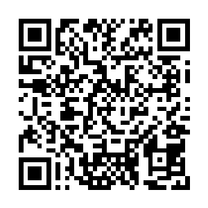 而且说过此处把可被转换的能量的物质都吞噬了二维码生成