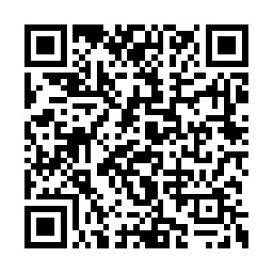 而且赤炎天龙帝的三千赤炎火根本不可能传下来二维码生成
