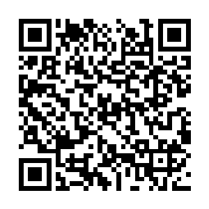 而且身上银亮亮的就像是披着一层银色的铠甲一般二维码生成