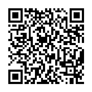 而且身边的朋友圈里七八成都在看这个讨论这个二维码生成