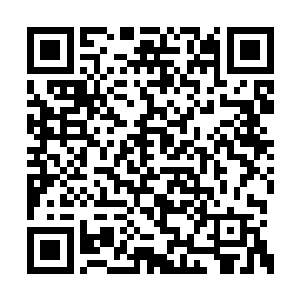 而且还不停地有修士从那两个洞口处飞掠了进来二维码生成