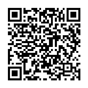 而且还不耐其烦的给叶尘讲解各种功能与操作……二维码生成