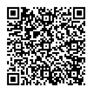 而且还买了几个之前在国服一直想买但却因为价格太贵而不得不放弃的史诗级皮肤二维码生成