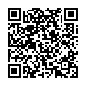 而且还全是绝迹红尘久矣或者近乎绝种的高阶灵兽二维码生成