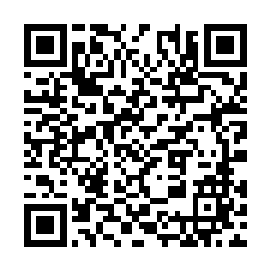 而且还带给了地球修真人士踏上长生的消息和希望二维码生成