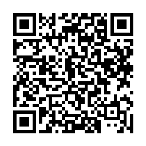 而且还带领着独立电影创造了一系列不可思议的神话二维码生成