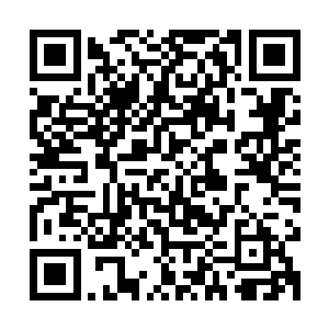 而且还得到了目光毒辣的韦恩斯坦兄弟的青睐这个剧本就是哈维二维码生成