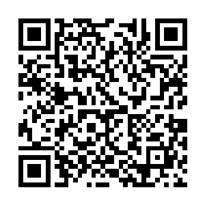 而且还打伤了我的兄弟……莫非欺我中土无人不成二维码生成