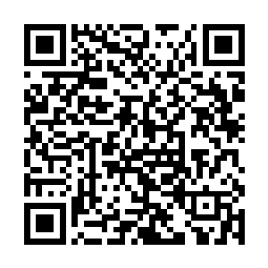 而且还是在斐济这里一年四季的温度都到不了零下去二维码生成