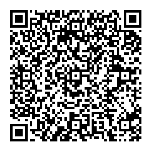 而且还是当着无数大能的面 要知道现在虽然只有一个金丹大能以及元婴大能 但虚空之内 少说也是隐藏着七八个金丹大能二维码生成