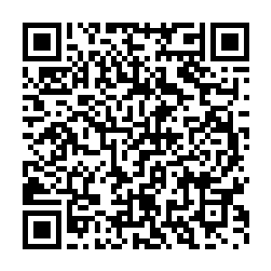 而且还是提醒了贝海一把光是这两条船机械采购就是两千万美元出头二维码生成